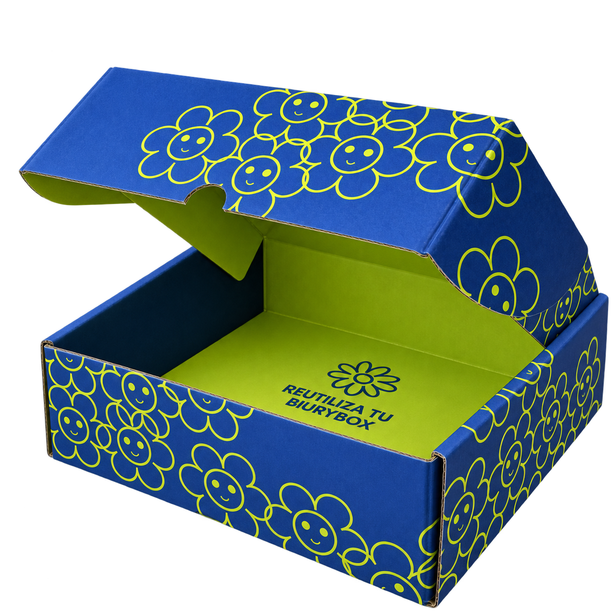 Caja Biury Frame 2