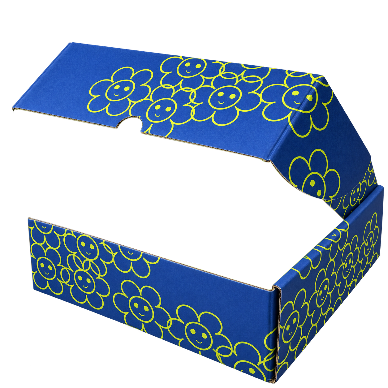 Máscara Frente Caja 2